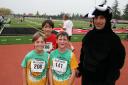 Kent, Jensen and Peter with a bull