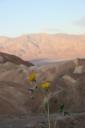 Picture from 03/29/2008-15/01/52 