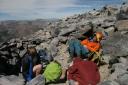 Rex sleeping on Mt. Dana
