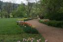 Flowers and Pathway at Monticello