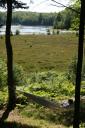 Kent napping in the hammock next to the bog